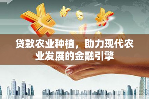 湖西贷款农业种植，助力现代农业发展的金融引擎
