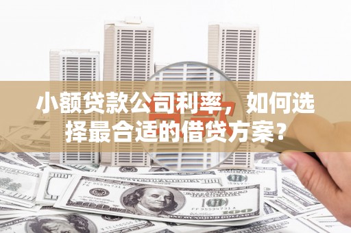 湖西小额贷款公司利率，如何选择最合适的借贷方案？