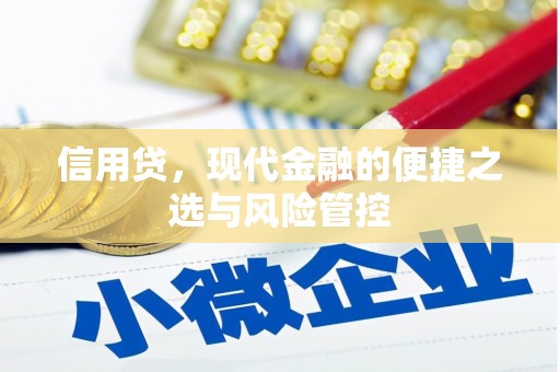 湖西信用贷，现代金融的便捷之选与风险管控