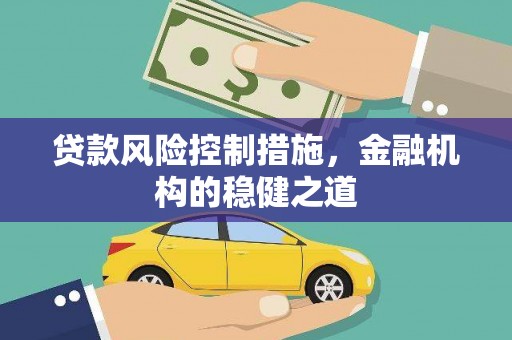 湖西贷款风险控制措施，金融机构的稳健之道