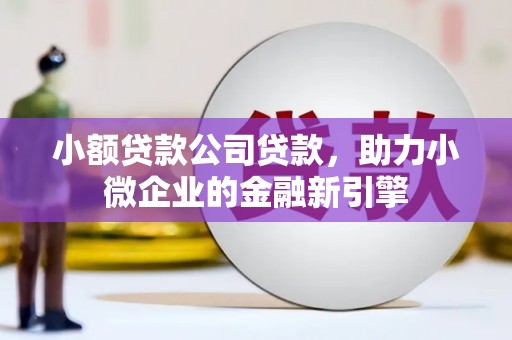 湖西小额贷款公司贷款，助力小微企业的金融新引擎
