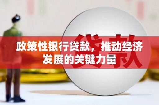 湖西政策性银行贷款，推动经济发展的关键力量