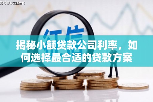 湖西揭秘小额贷款公司利率，如何选择最合适的贷款方案