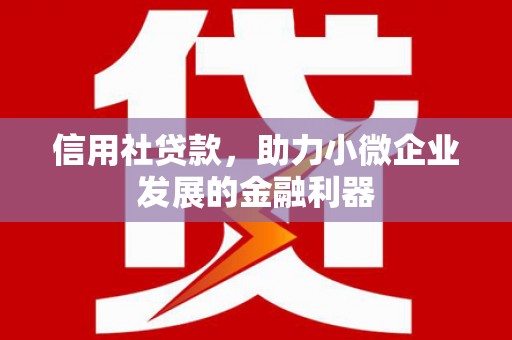 湖西信用社贷款，助力小微企业发展的金融利器