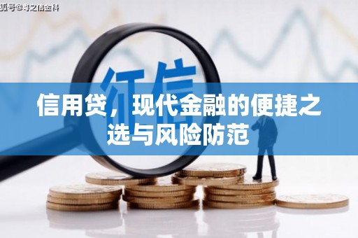 湖西信用贷，现代金融的便捷之选与风险防范