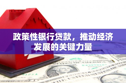 湖西政策性银行贷款，推动经济发展的关键力量