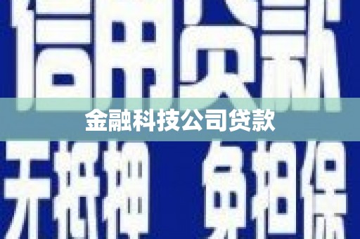 湖西金融科技公司贷款