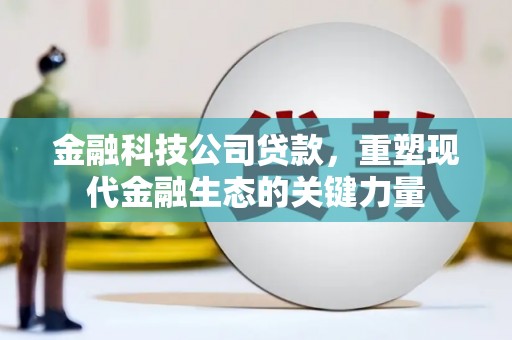 湖西金融科技公司贷款，重塑现代金融生态的关键力量