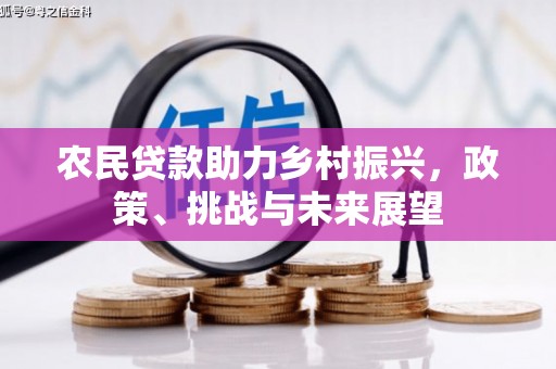 湖西农民贷款助力乡村振兴，政策、挑战与未来展望