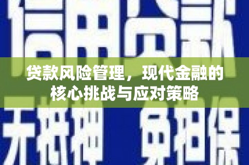湖西贷款风险管理，现代金融的核心挑战与应对策略