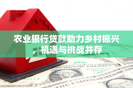 湖西农业银行贷款助力乡村振兴，机遇与挑战并存