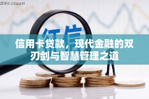湖西信用卡贷款，现代金融的双刃剑与智慧管理之道