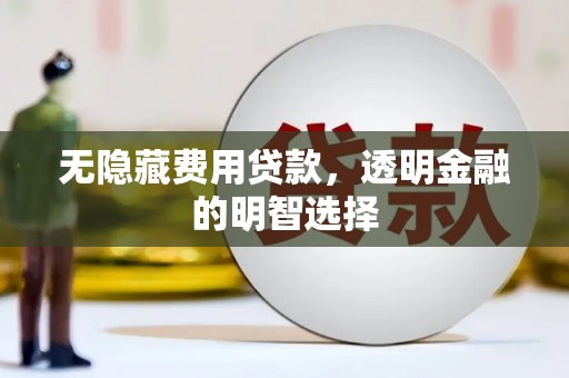 湖西无隐藏费用贷款，透明金融的明智选择