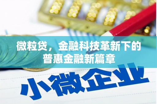 湖西微粒贷，金融科技革新下的普惠金融新篇章