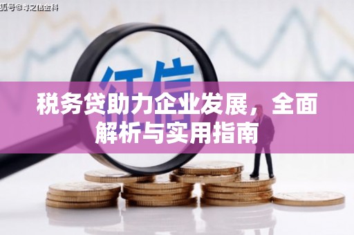 湖西税务贷助力企业发展，全面解析与实用指南
