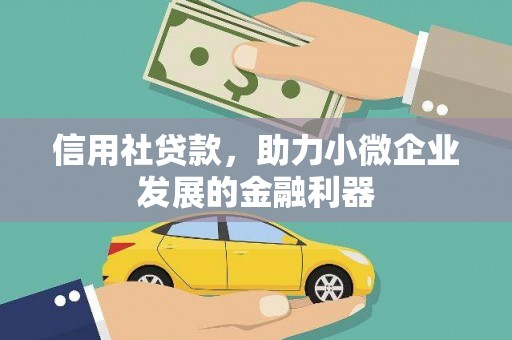 湖西信用社贷款，助力小微企业发展的金融利器