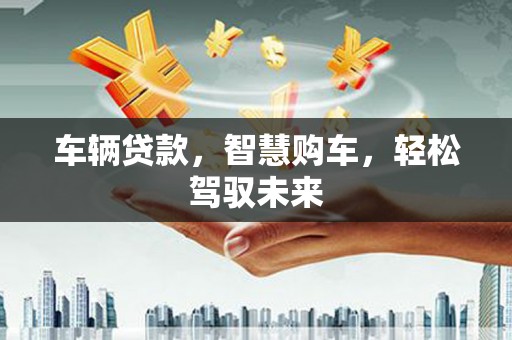 湖西车辆贷款，智慧购车，轻松驾驭未来