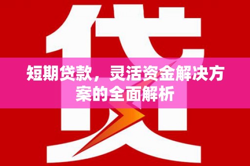 湖西短期贷款，灵活资金解决方案的全面解析