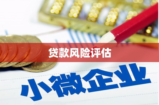 湖西贷款风险评估