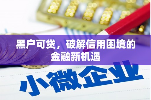 湖西黑户可贷，破解信用困境的金融新机遇