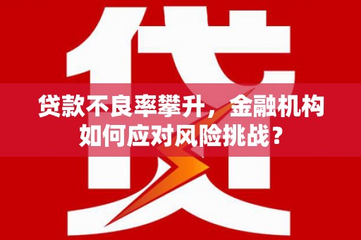 湖西贷款不良率攀升，金融机构如何应对风险挑战？
