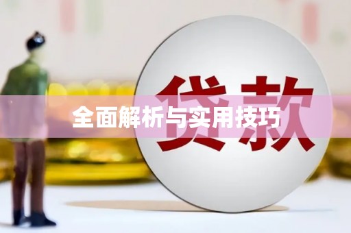 湖西全面解析与实用技巧
