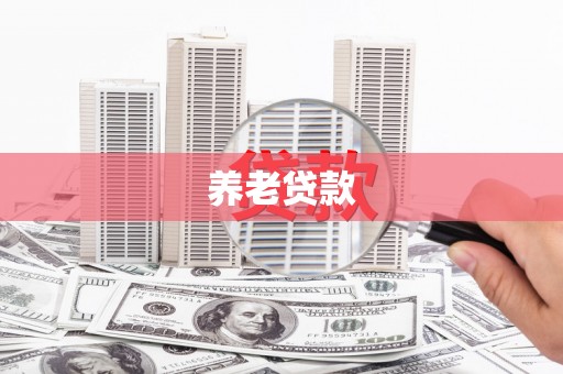 湖西养老贷款