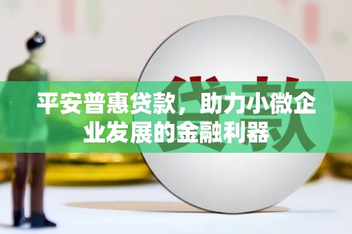 湖西平安普惠贷款，助力小微企业发展的金融利器
