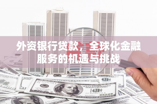 湖西外资银行贷款，全球化金融服务的机遇与挑战
