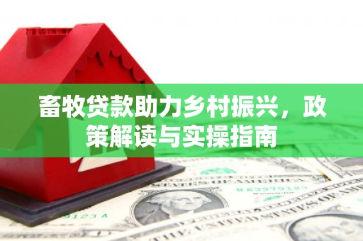 湖西畜牧贷款助力乡村振兴，政策解读与实操指南