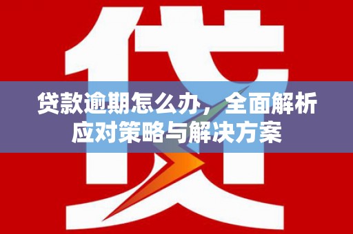 湖西贷款逾期怎么办，全面解析应对策略与解决方案