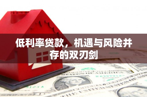 湖西低利率贷款，机遇与风险并存的双刃剑