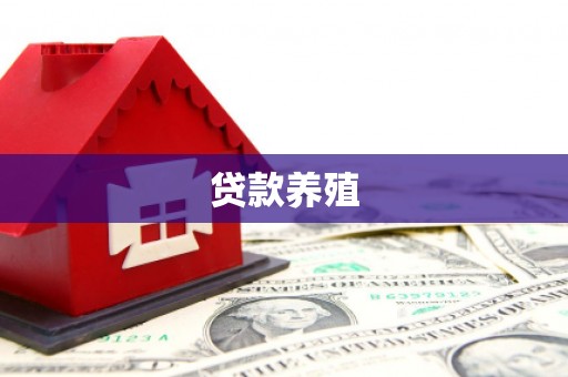 湖西贷款养殖