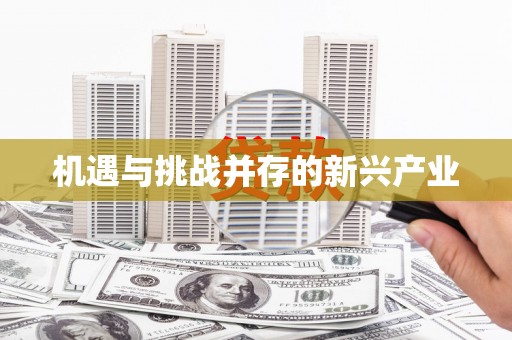 湖西机遇与挑战并存的新兴产业