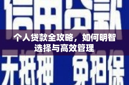 湖西个人贷款全攻略，如何明智选择与高效管理