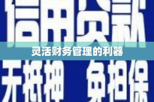 湖西灵活财务管理的利器
