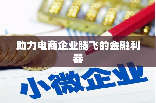 湖西助力电商企业腾飞的金融利器