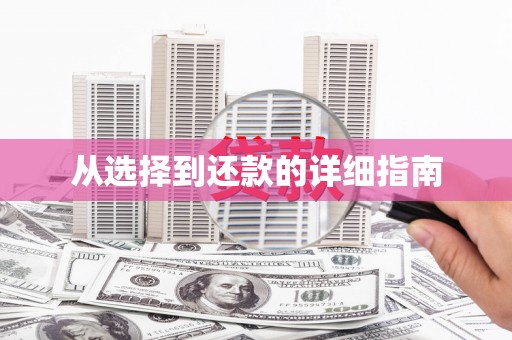 湖西从选择到还款的详细指南