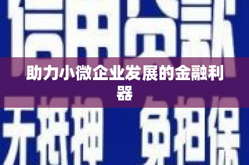 湖西助力小微企业发展的金融利器