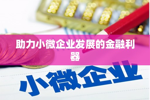 湖西助力小微企业发展的金融利器