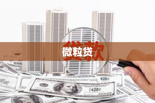 湖西微粒贷