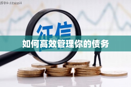 湖西如何高效管理你的债务