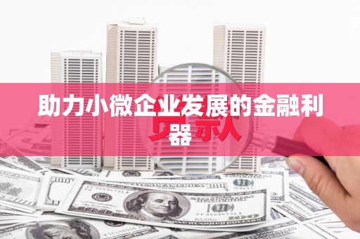 湖西助力小微企业发展的金融利器