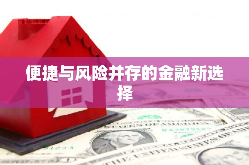 湖西便捷与风险并存的金融新选择