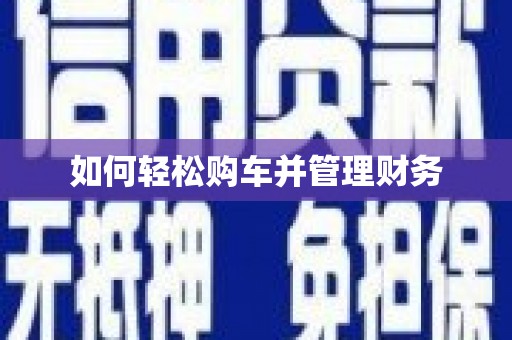 湖西如何轻松购车并管理财务