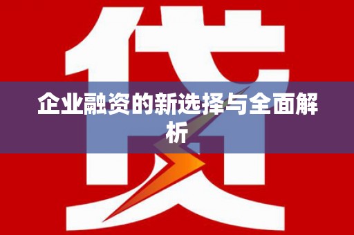 湖西企业融资的新选择与全面解析