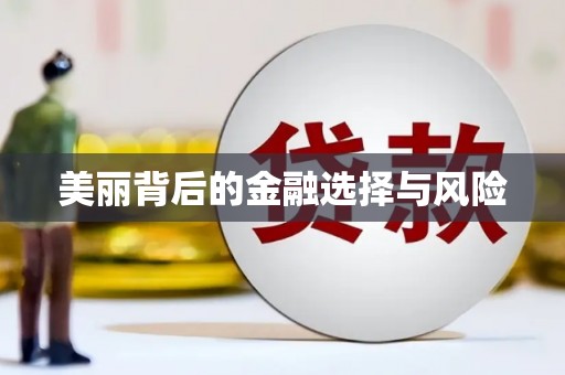 湖西美丽背后的金融选择与风险