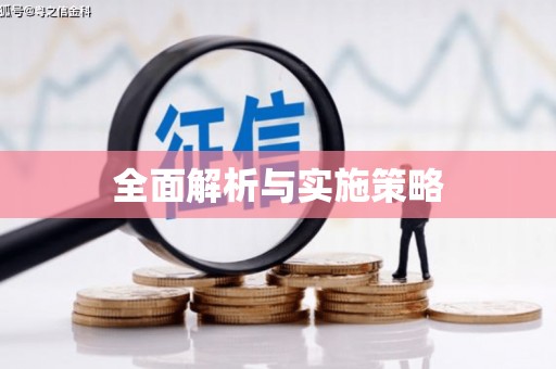 湖西全面解析与实施策略