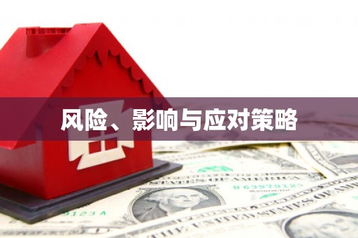 湖西风险、影响与应对策略