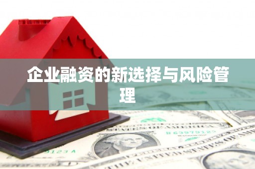 湖西企业融资的新选择与风险管理